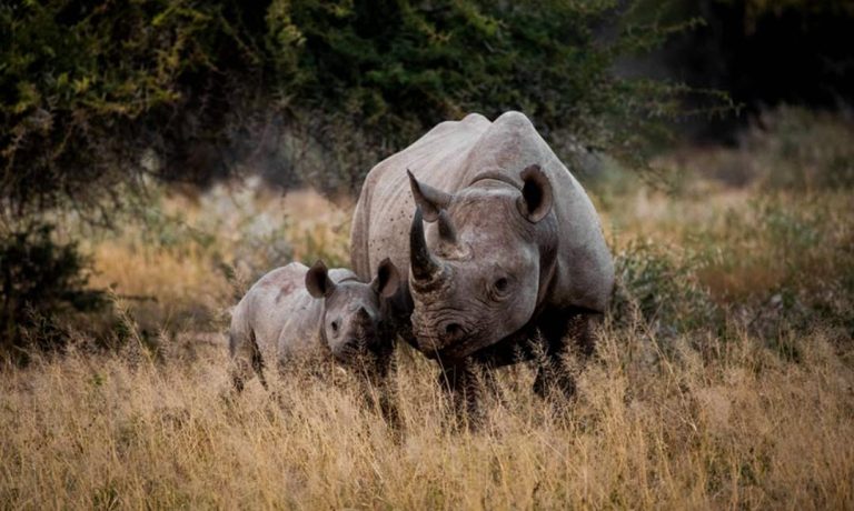 viaggi economici Sudafrica Maggio